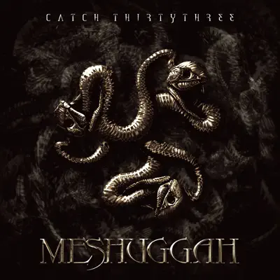 Catch Thirty Three - Meshuggah