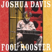 Joshua Davis - Delta 88