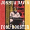 All But Six - Joshua Davis lyrics