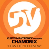How Did You Know (Original Club Mix) artwork