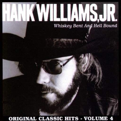Art for The Conversation by Hank Williams Jr.