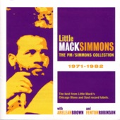 The PM/Simmons Collection 1971-1982 artwork