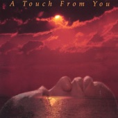 A Touch from You artwork