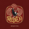 Arena (iTunes Version), 2005