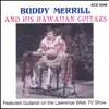 Hawaiian Guitars album lyrics, reviews, download