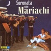 Serenata Con Mariachi