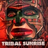 Kult Records Presents: Tribal Sunrise, Vol. 3