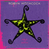 Robyn Hitchcock - I Feel Beautiful