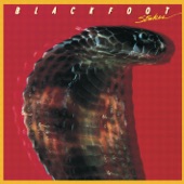 Blackfoot - I Got a Line On You
