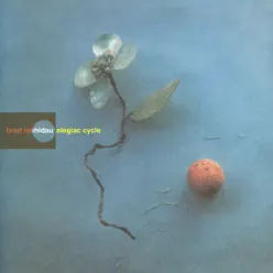 Elegiac Cycle - Brad Mehldau Elegiac Cycle - Brad Mehldau