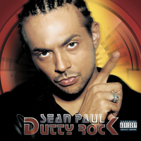 Sean Paul - I'm Still In Love With You artwork