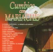 Mariachi de Roman Palomar - El Mariachi Loco
