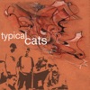 Typical Cats, 2001