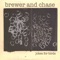 Shell In the Sea - Brewer And Chase lyrics