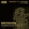 Andreas Delfs & Milwaukee Symphony Orchestra - Symphony No. 5 in C Minor, Op. 67: III. Allegro