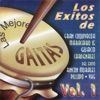Las Mejores Gaitas Vol.1, 2005