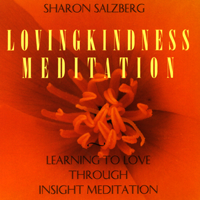 Sharon Salzberg - Lovingkindness Meditation: Learning to Love Through Insight Meditation artwork
