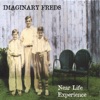 Imaginary Freds - George