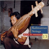 Music of Indonesia, Vol. 13: Kalimantan Strings artwork