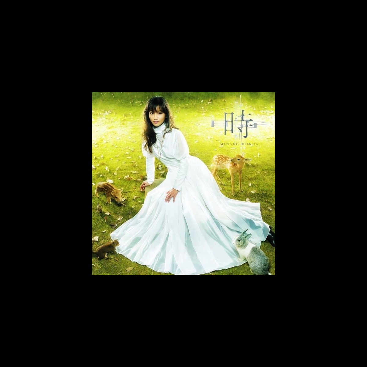 本田美奈子 の 時 とき をapple Musicで