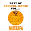 Best of Soulful House Vol 1, 2015
