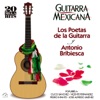 Guitarra Mexicana 20 Mega Hits