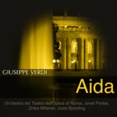 Verdi: Aida artwork