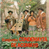 Conjunto Condemayta De Acomayo - Serenata Condemayta