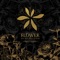 Flower (feat. Tablo) artwork