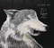 Behind the Moon - EeMu lyrics