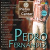 Mariachi Garibaldi - Yo No Fui