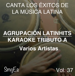 Agrupacion LatinHits - Una Aventura Mas (In the Style of Internacional Mallanep)