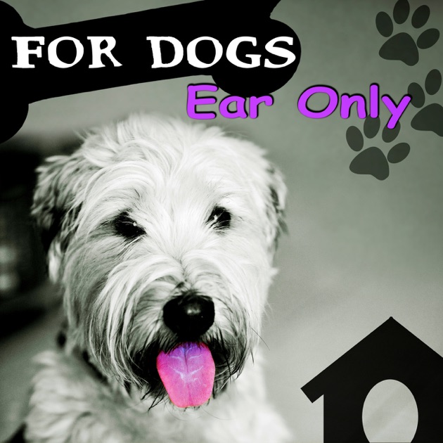 sleep aid for dogs for dogs ear only calm your animal companion therapy for dogs sleep sleep aid for dogs for dogs ear only calm your animal companion therapy for dogs sleep