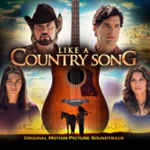 Like a Country Song - Original Motion Picture Soundtrack artwork