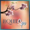 Body and Stones (Ambiance Flute Music) - Spa Music Collective lyrics