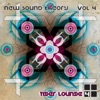 New Sound Theory Vol 4