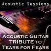 Acoustic Guitar Tribute to Tears for Fears