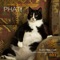 PHAT! (Aaron Lee Remix) - Electrik Cat lyrics