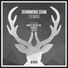 Dumming Dum - Tengo (Robot Needs Oil Remix)