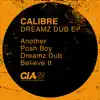 Dreamz Dub - EP album lyrics, reviews, download