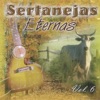 Sertanejas Eternas, Vol. 6, 2004