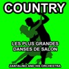Les plus grandes danses de Salon: Country Danse