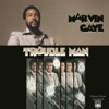 Trouble Man (Motion Picture Soundtrack)