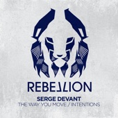 The Way You Move (Audiofly Remix) artwork