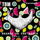 The Bearded Man - Beards On the Beach (Ibiza 2015) artwork