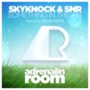 Something in the Air - Single