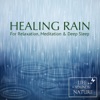 Life Sounds Nature - Rainfall and Raindrops For Relaxation, Deep Sleep, Meditation