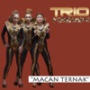 Macan Ternak - Single