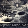 Nature's Dream Harp: Aeolian Music, Played By the Summer Wind., 2015