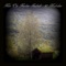 Seagull - Nils-Ole Nerleir Finbak & Nils-Ole Finbak lyrics